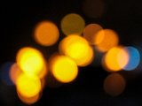 IMG_4319.jpg