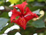 IMG_4575.jpg