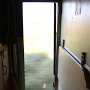 stare out the door.