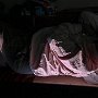 sleep some more.