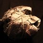 eat mystery packages